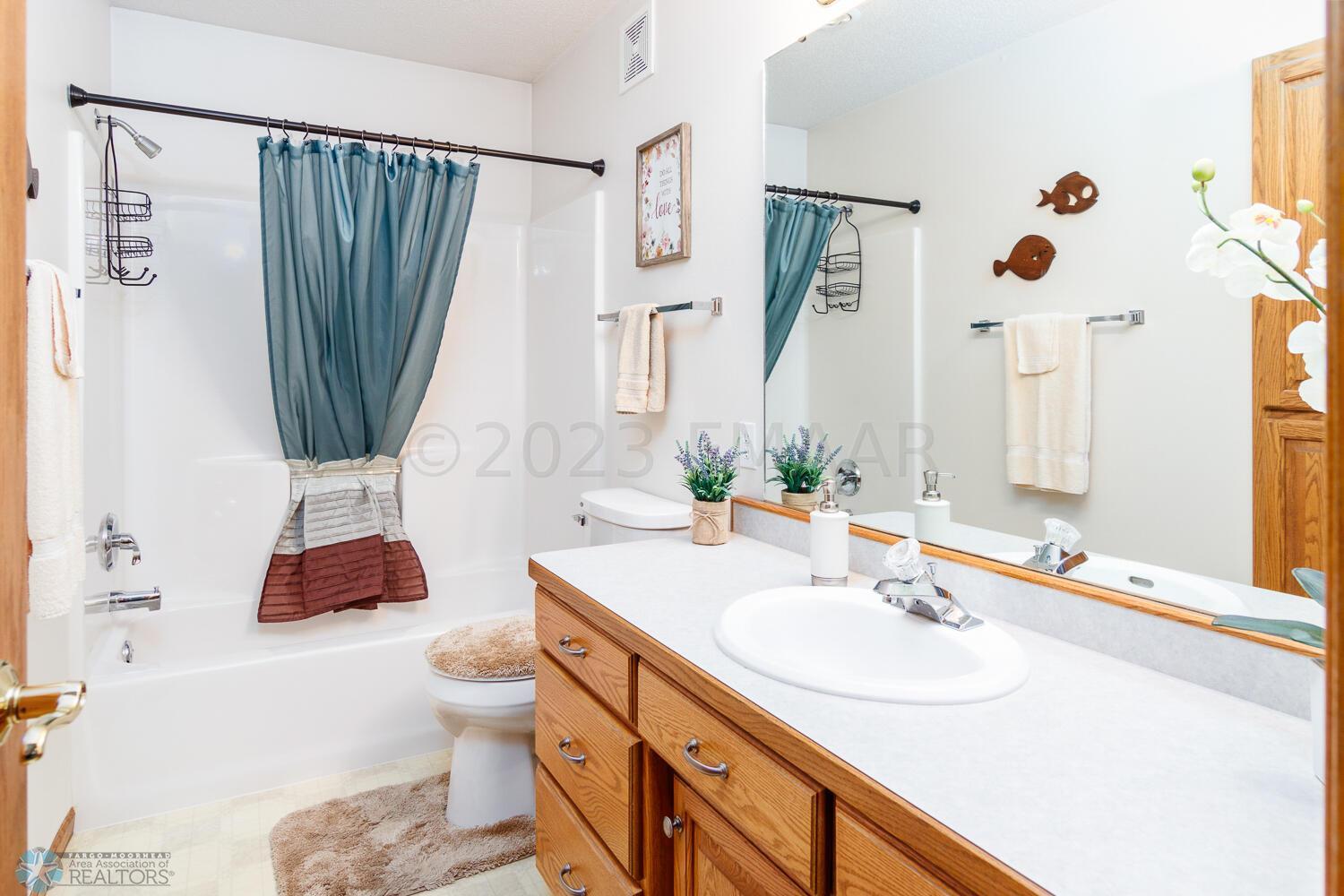 Main level full bathroom 2