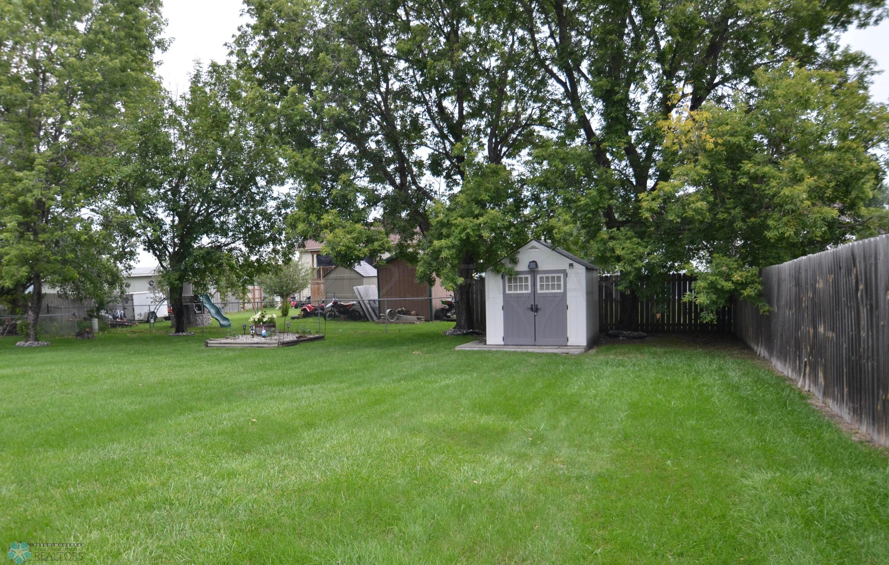 Backyard 1