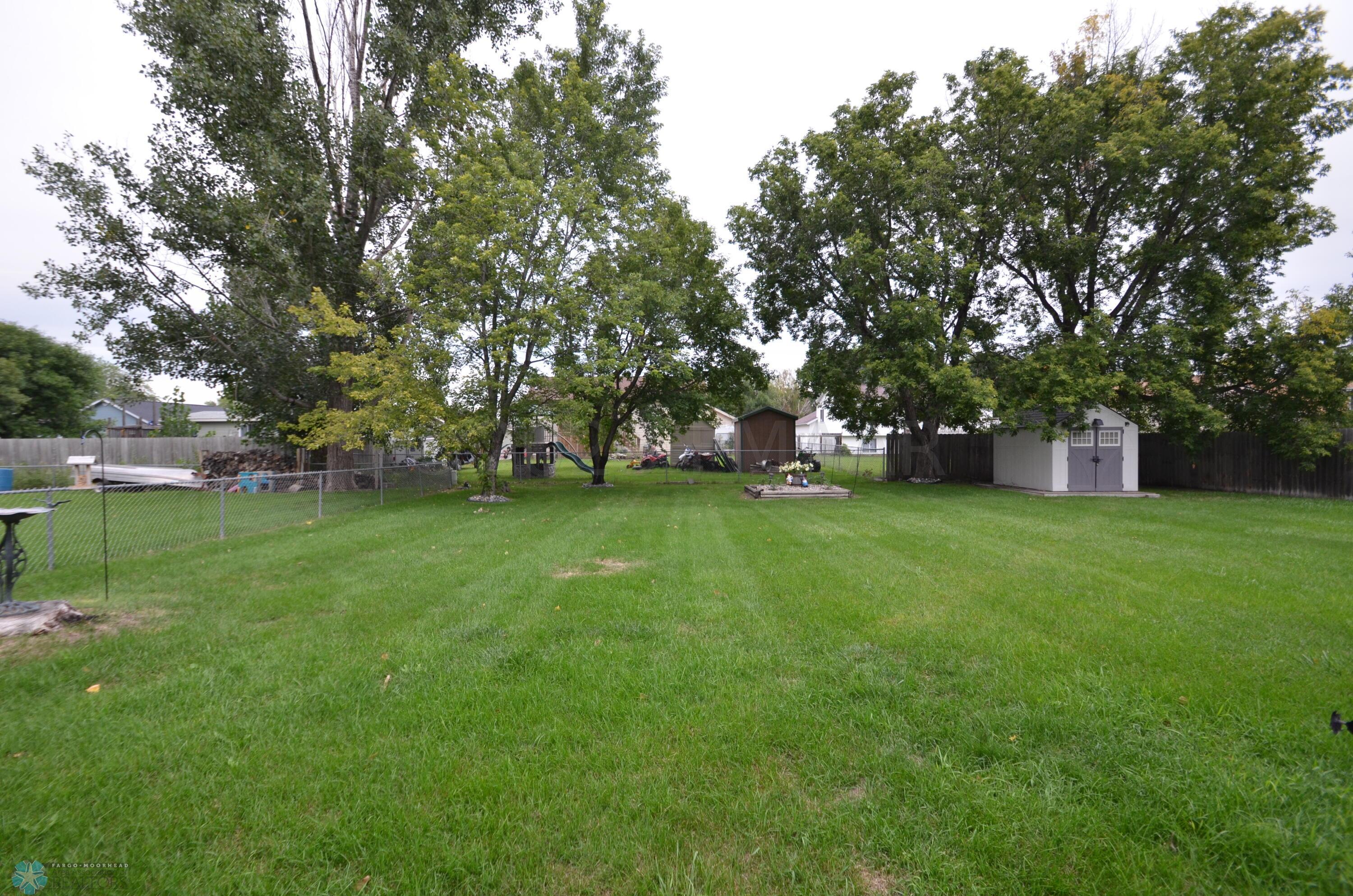 backyard 2