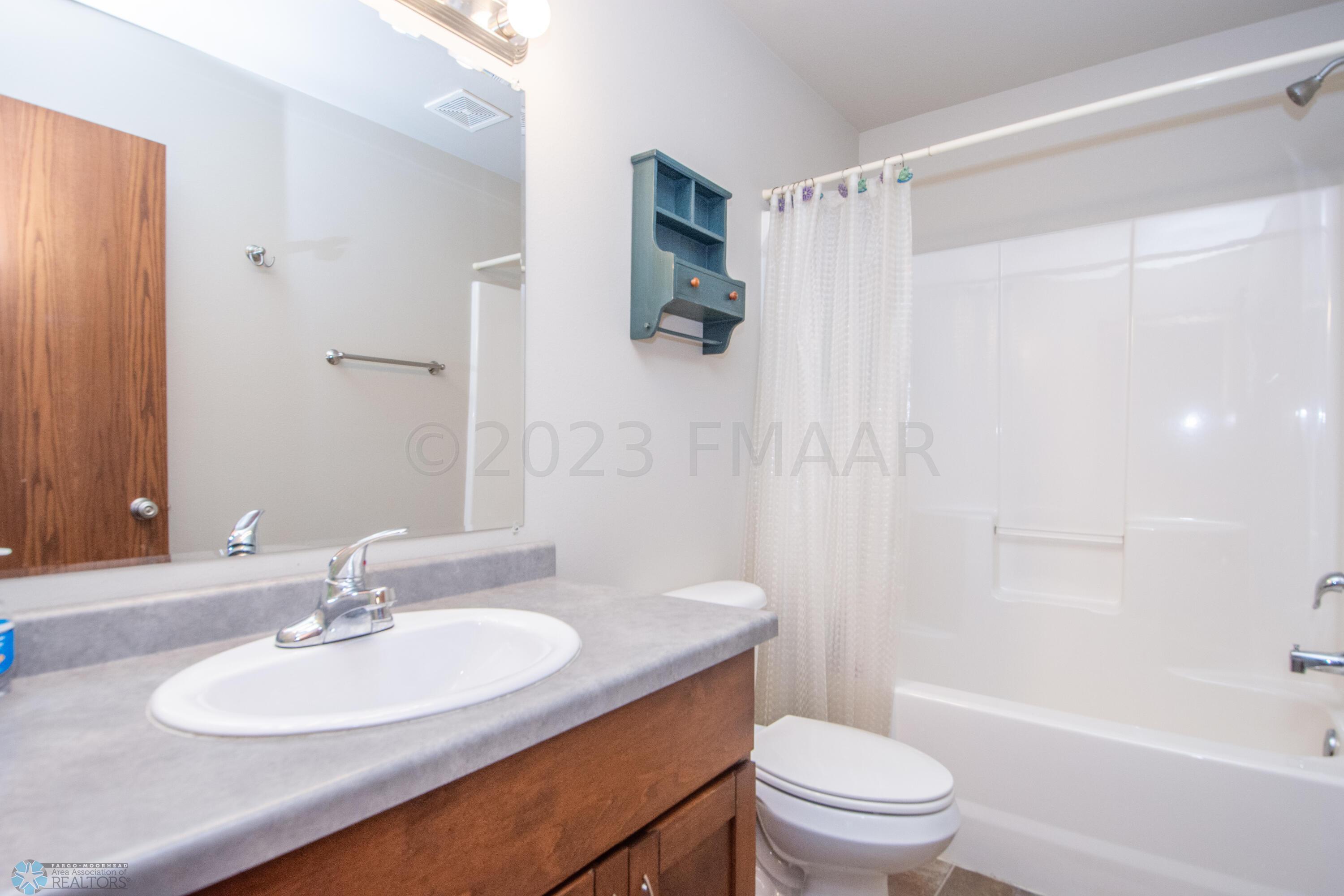 Lower Level Bathroom