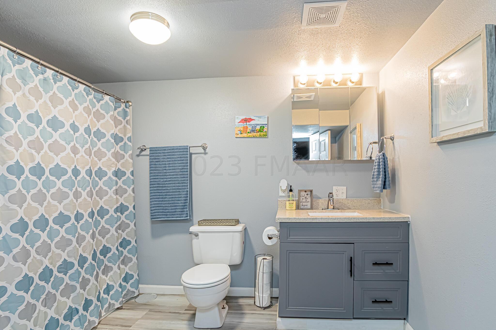 Basement_Bathroom_1