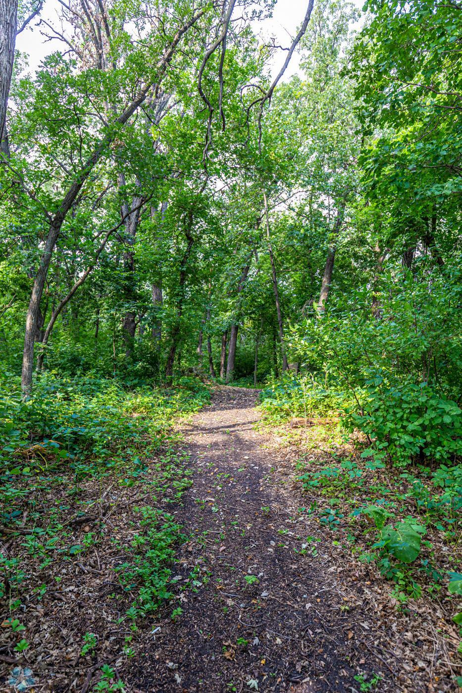 Path