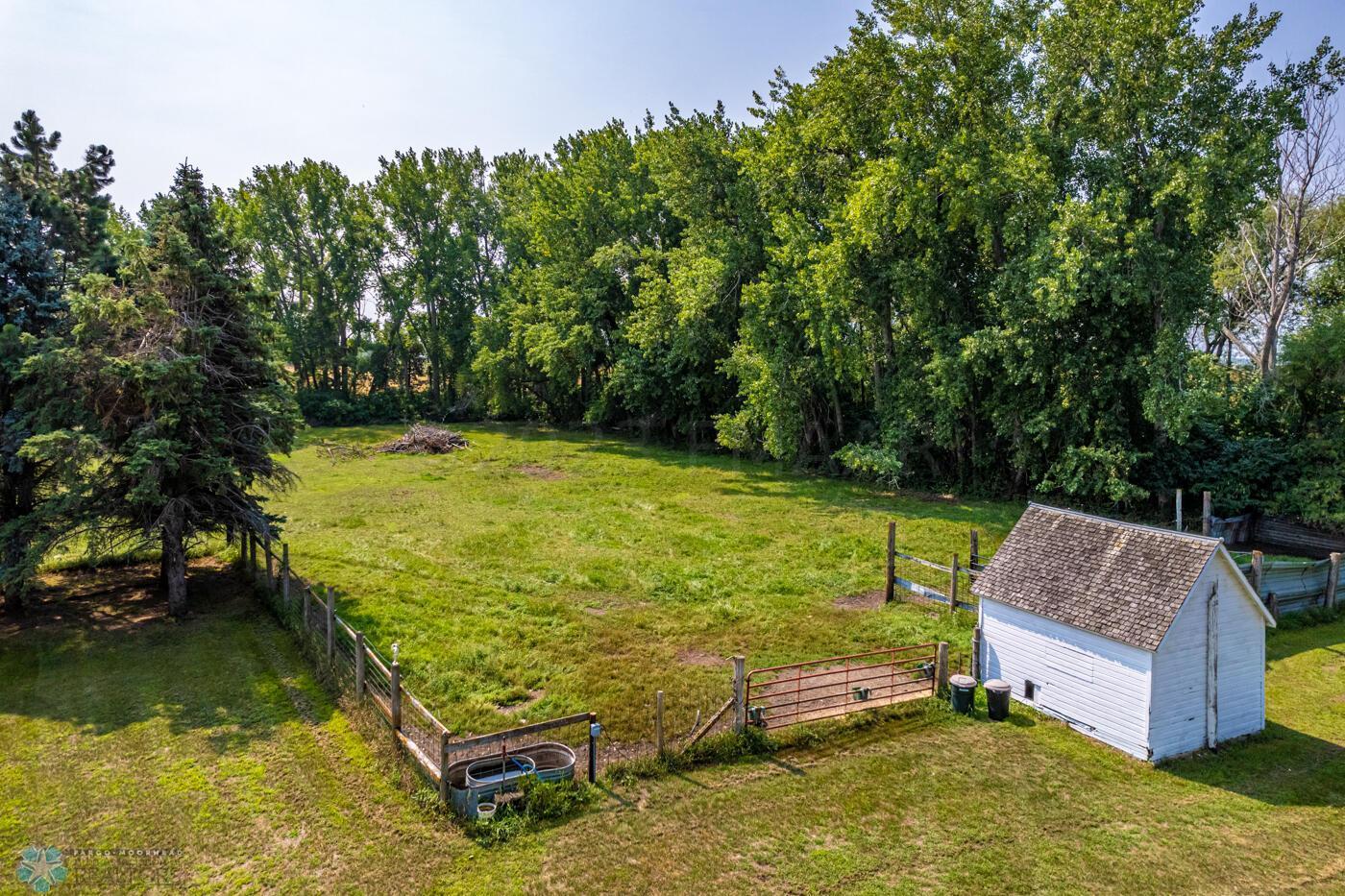 Shed & Pasture