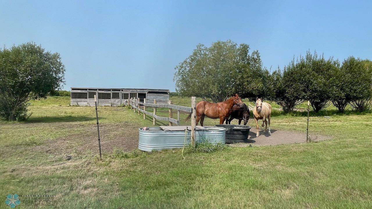 (63) Horse Shelter and Fencing