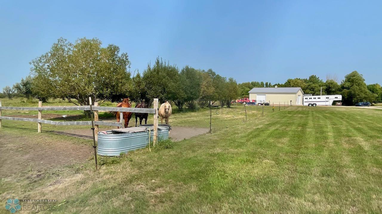 (66) Horse Fencing