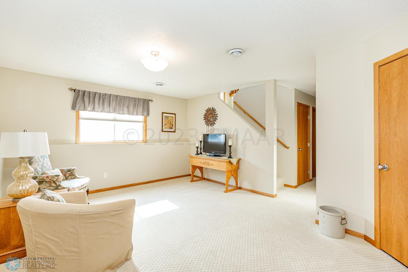Basement Living Room