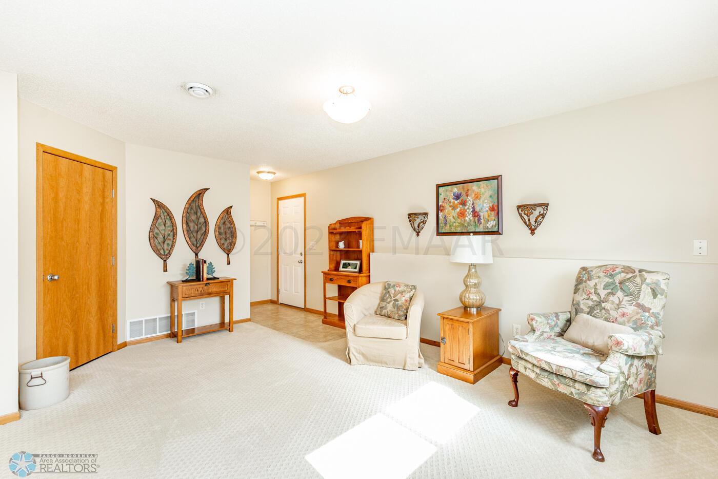 Basement Living Room