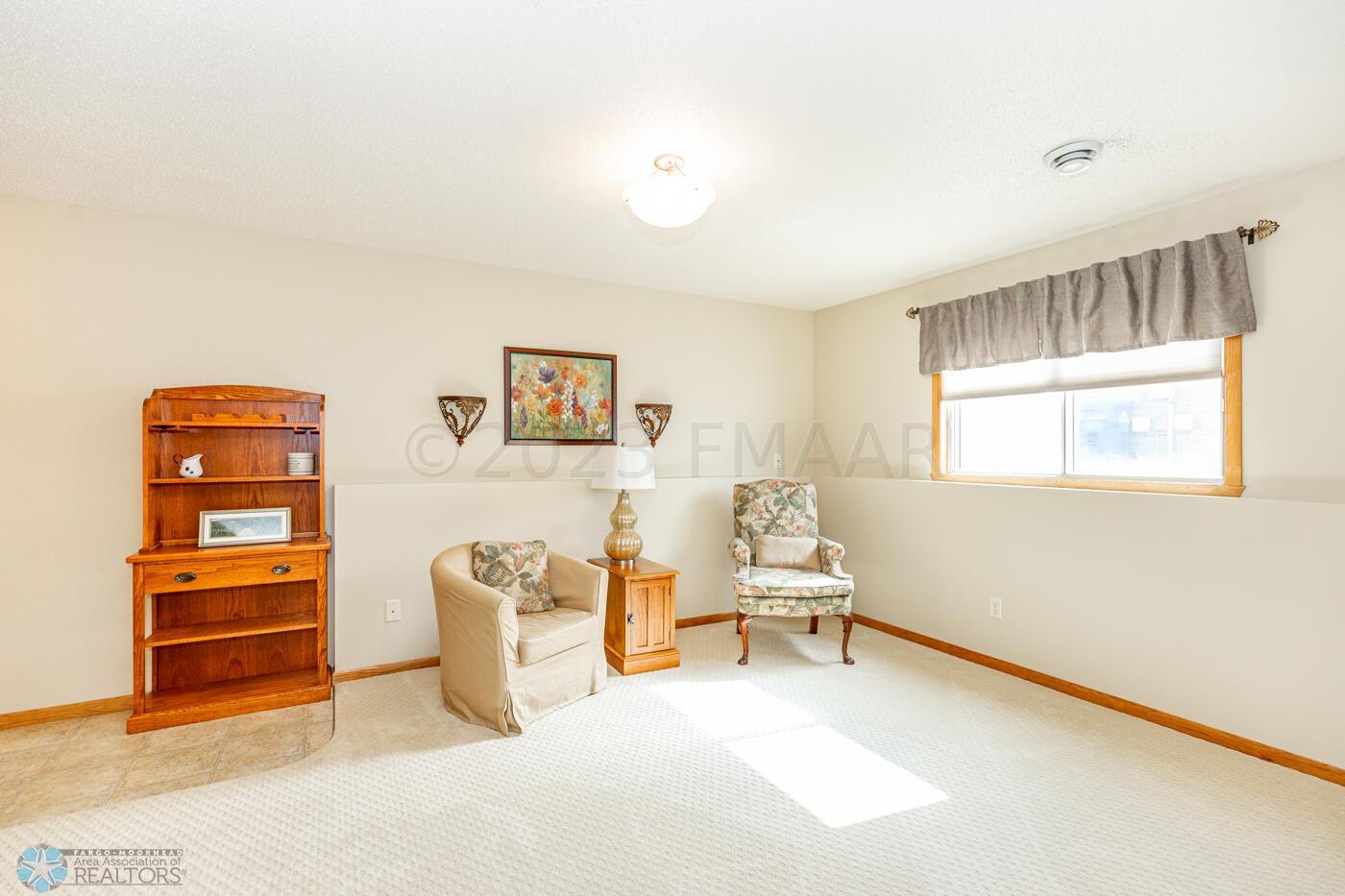 Basement Living Room