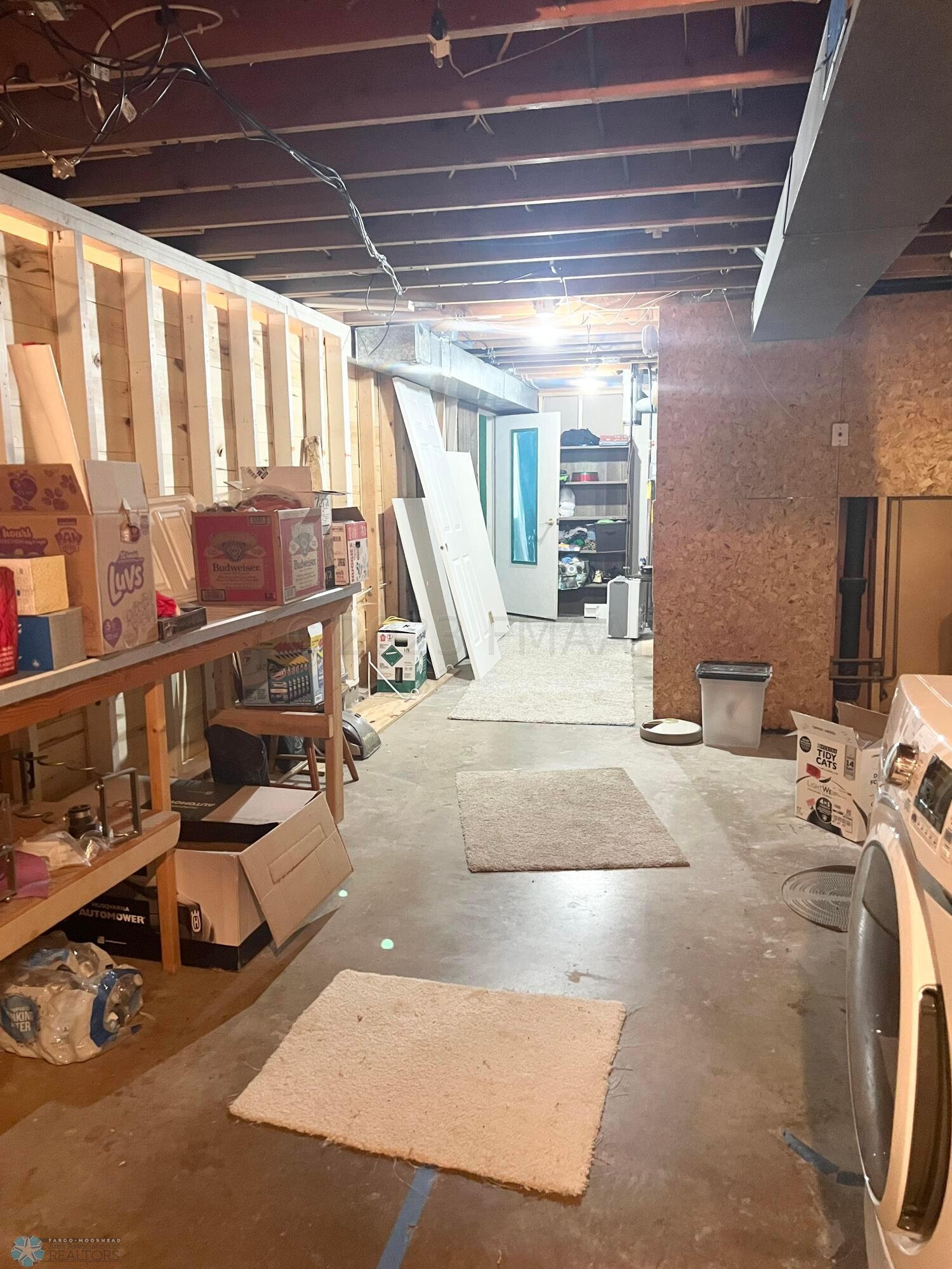 Basement Utility