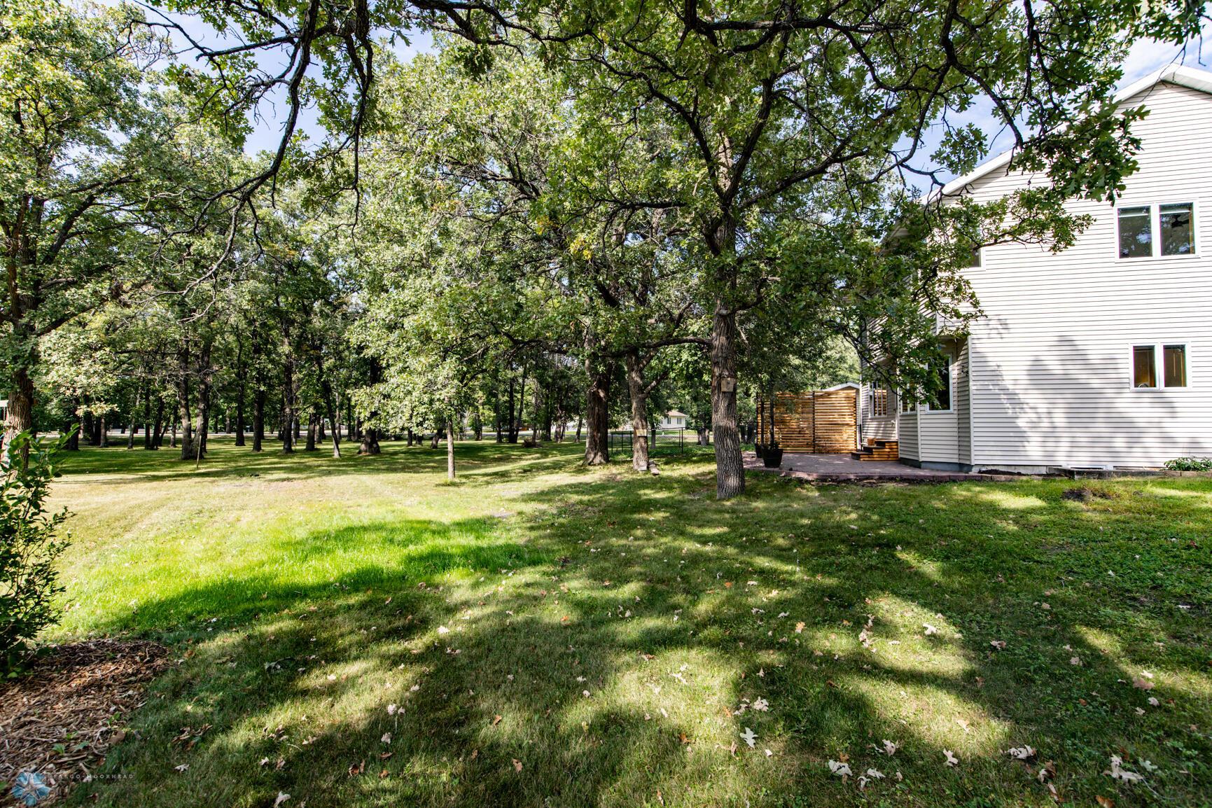 Back yard