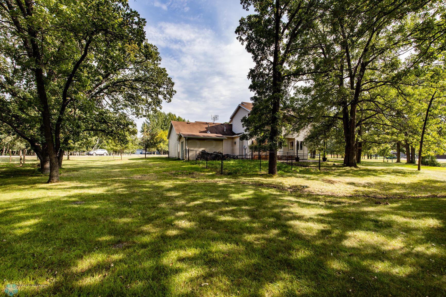 Back yard