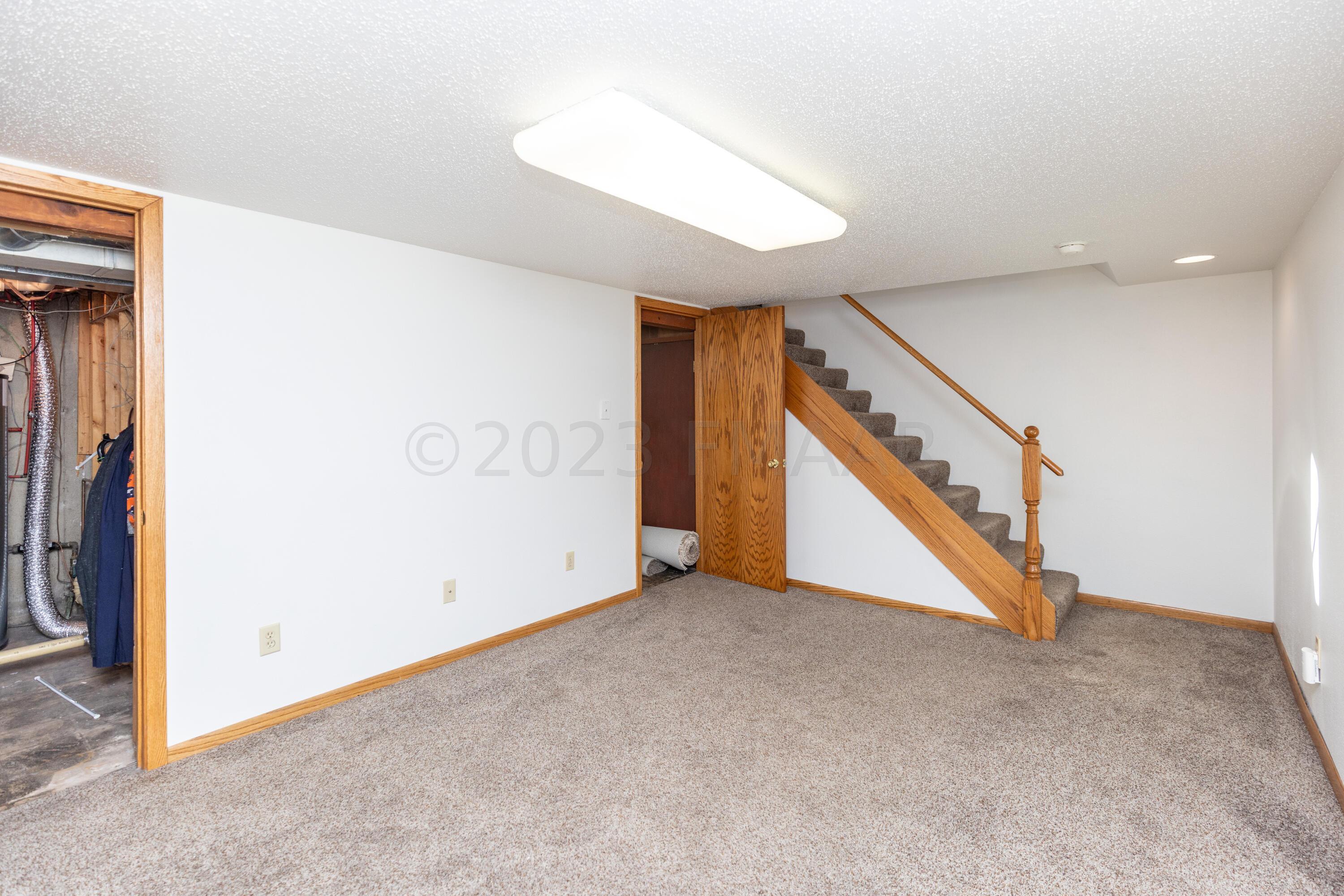 Basement Family Room