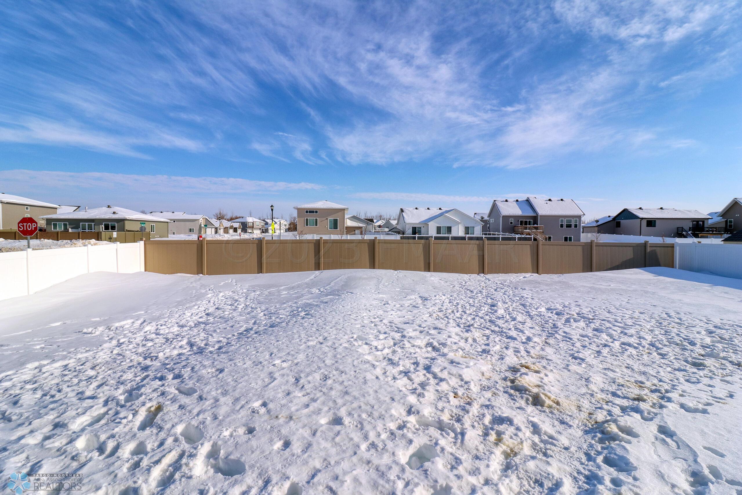 Backyard1_2