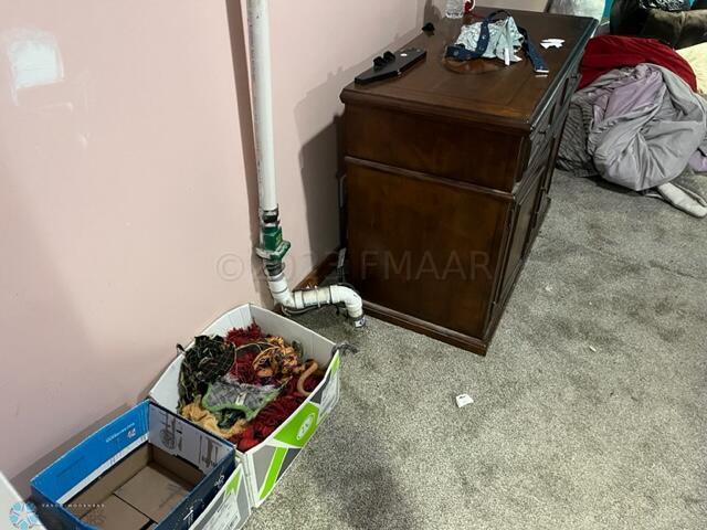 2nd sump pump
