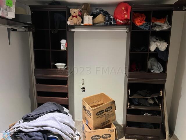 Walk in closet in bsmt