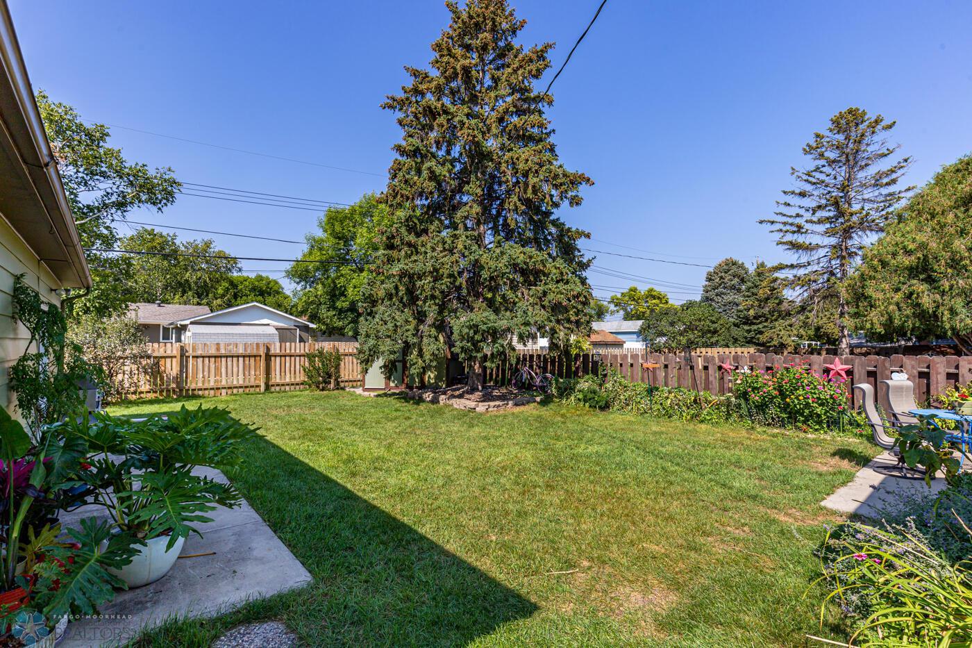 Back yard