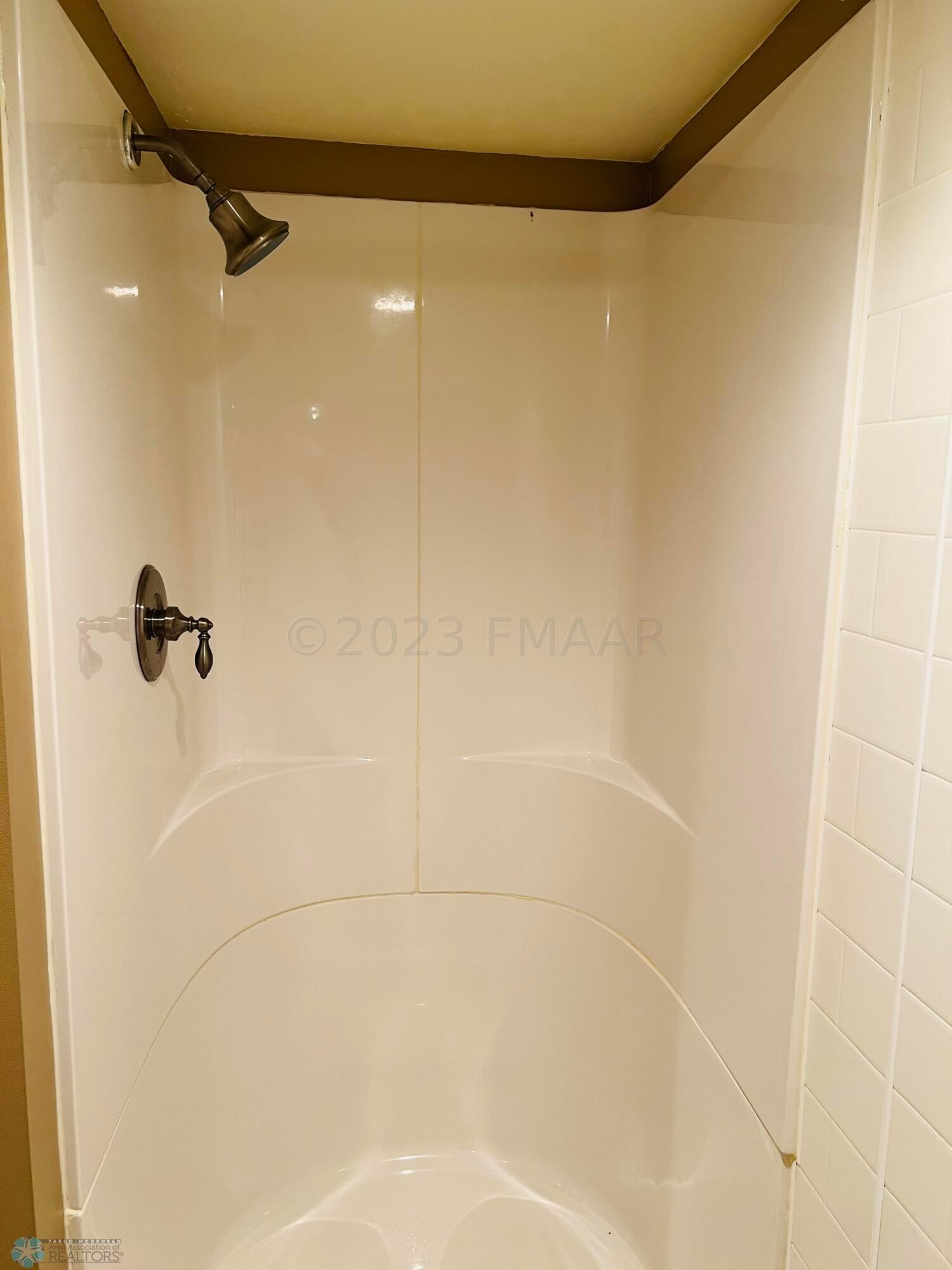 basement bath shower
