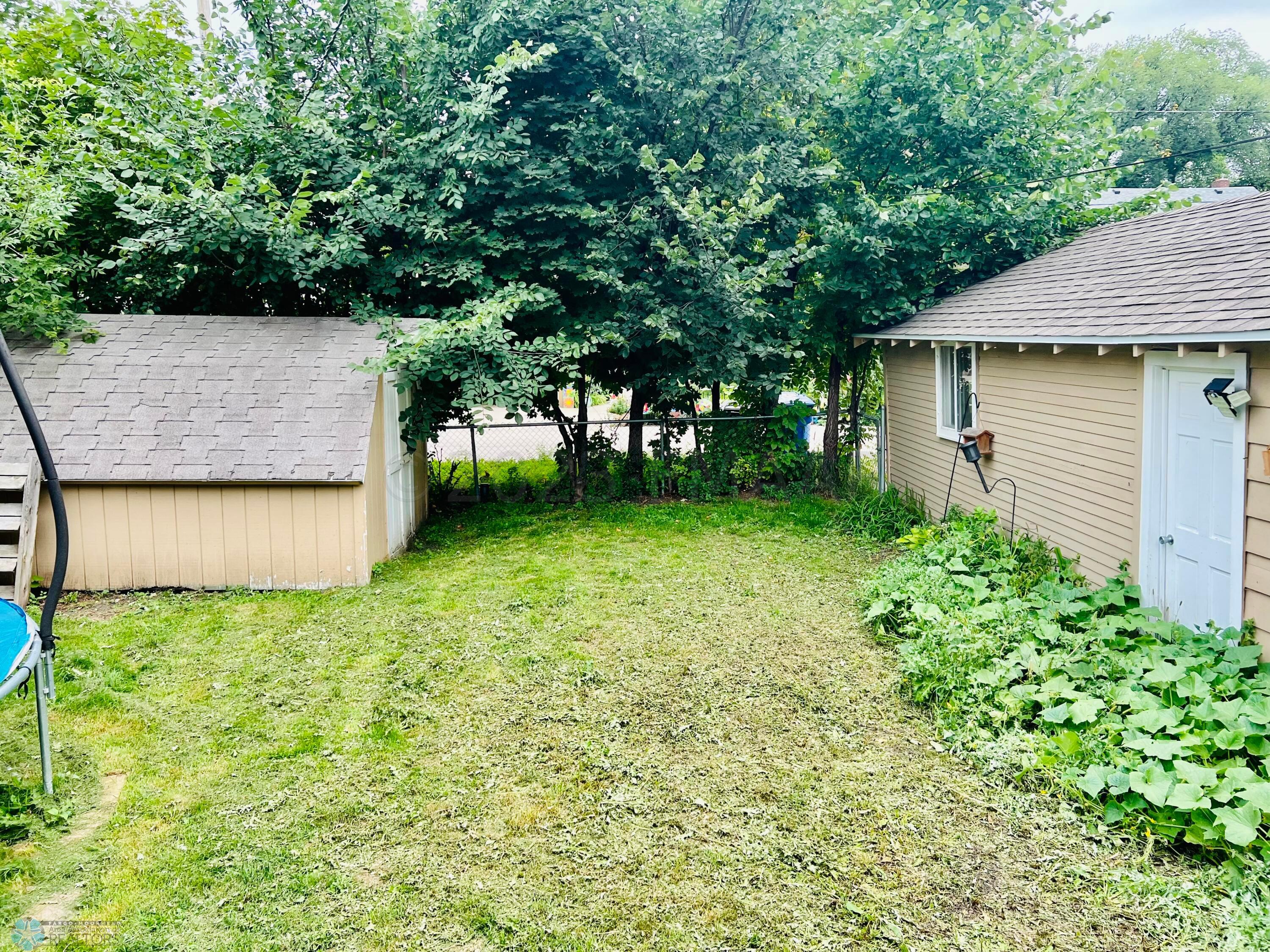 Backyard from deck