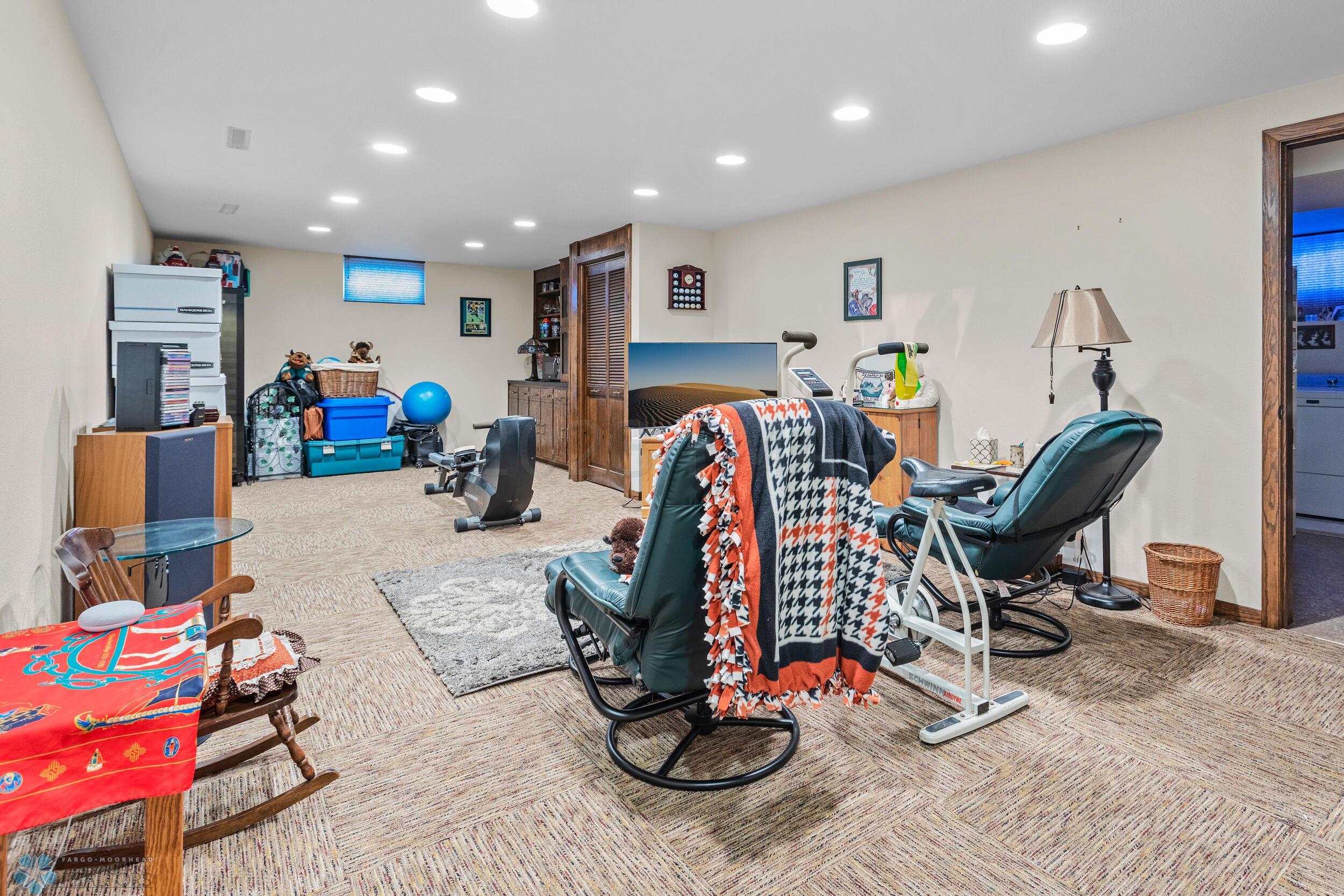 Basement Living Room