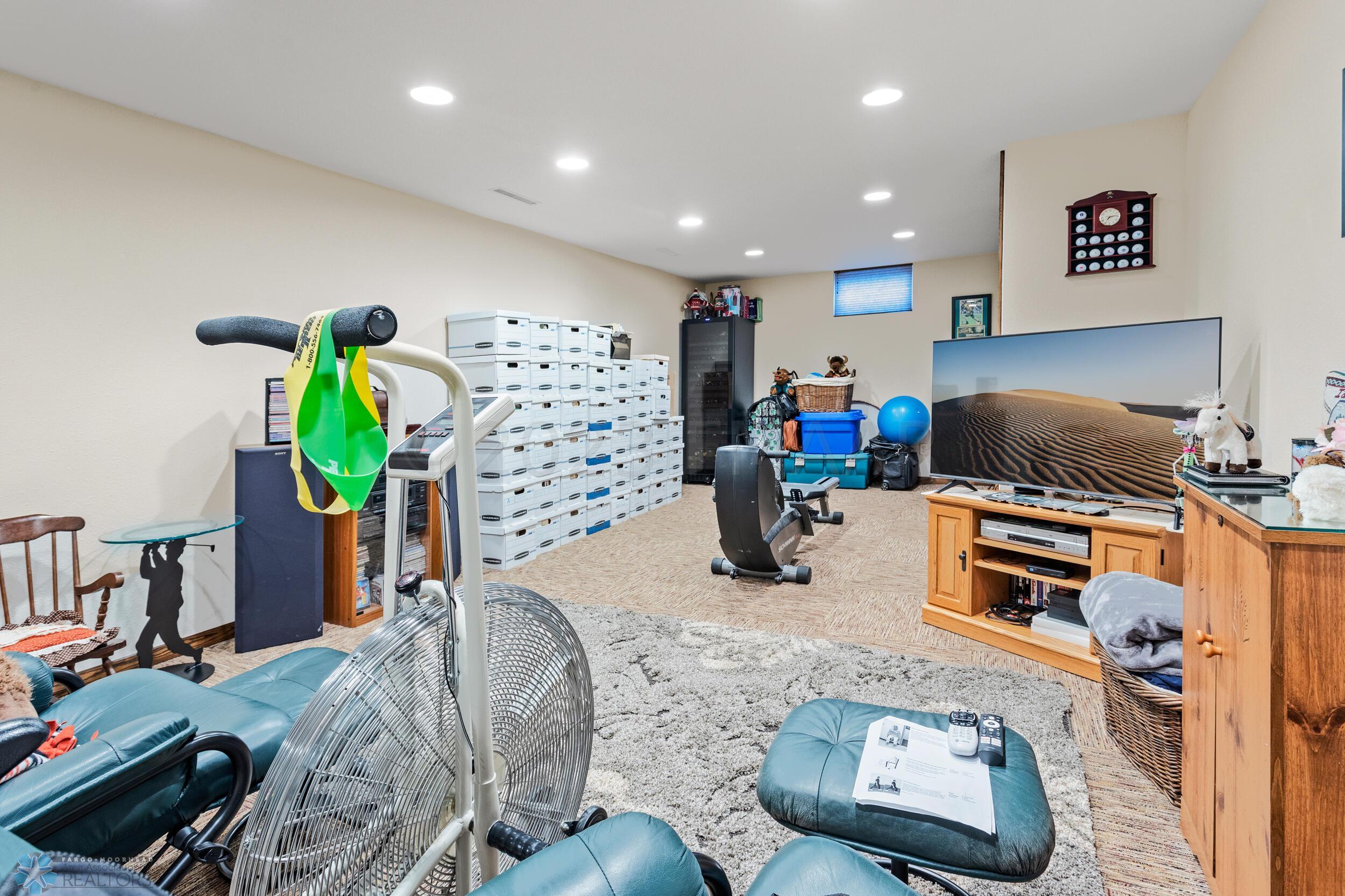 Basement Living Room