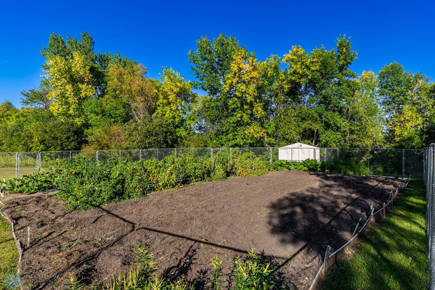 Garden 1