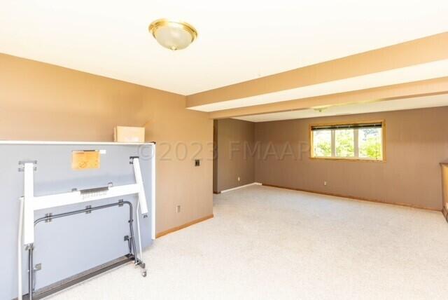 Family Room lower level