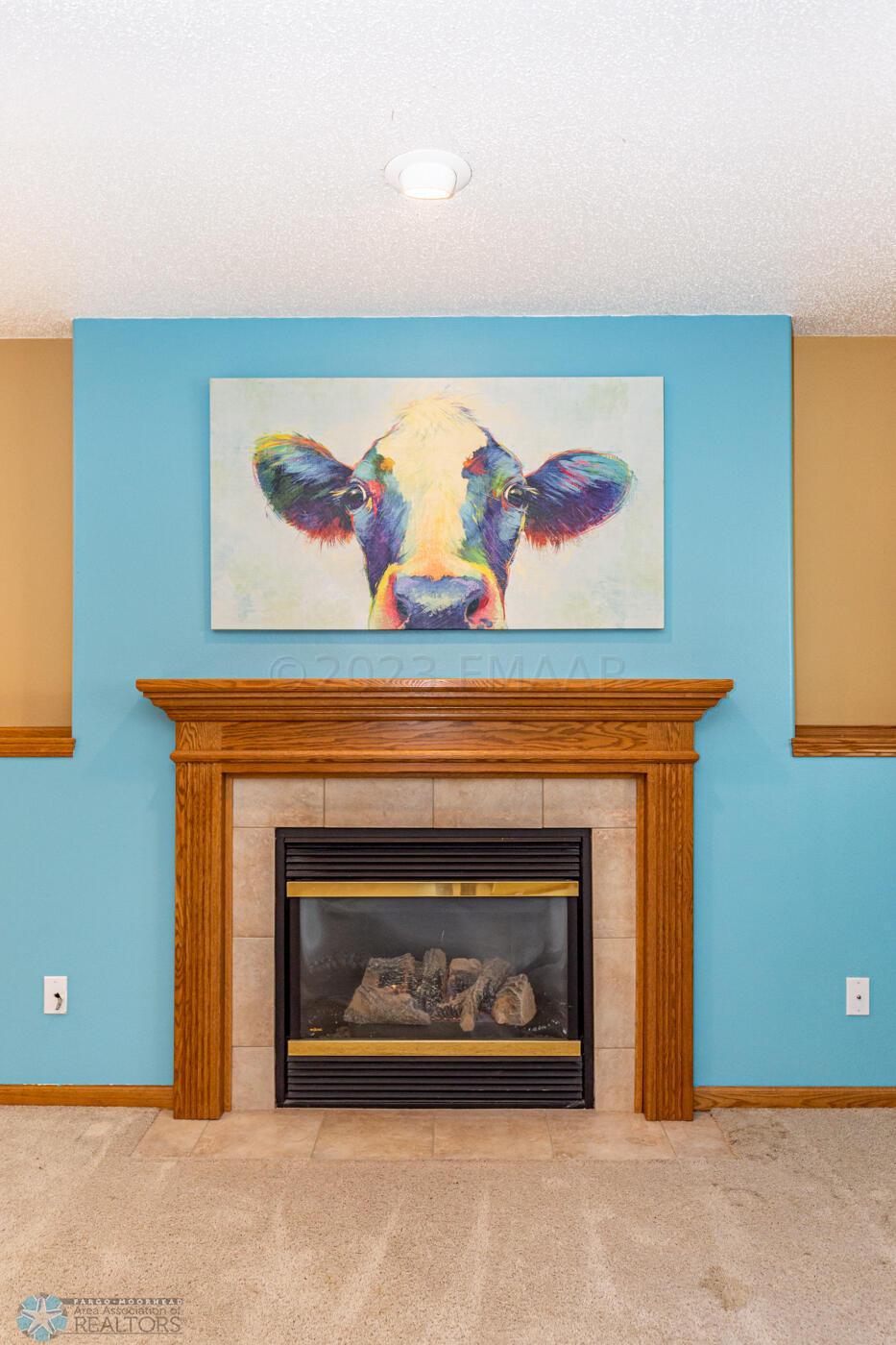 Gas Fireplace