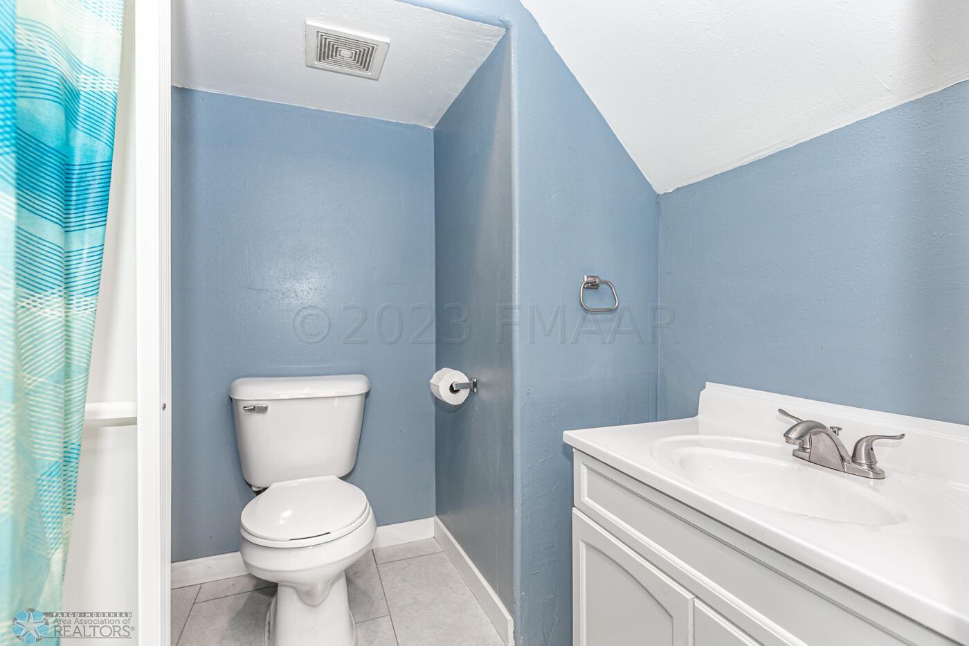 Lower Level Bathroom