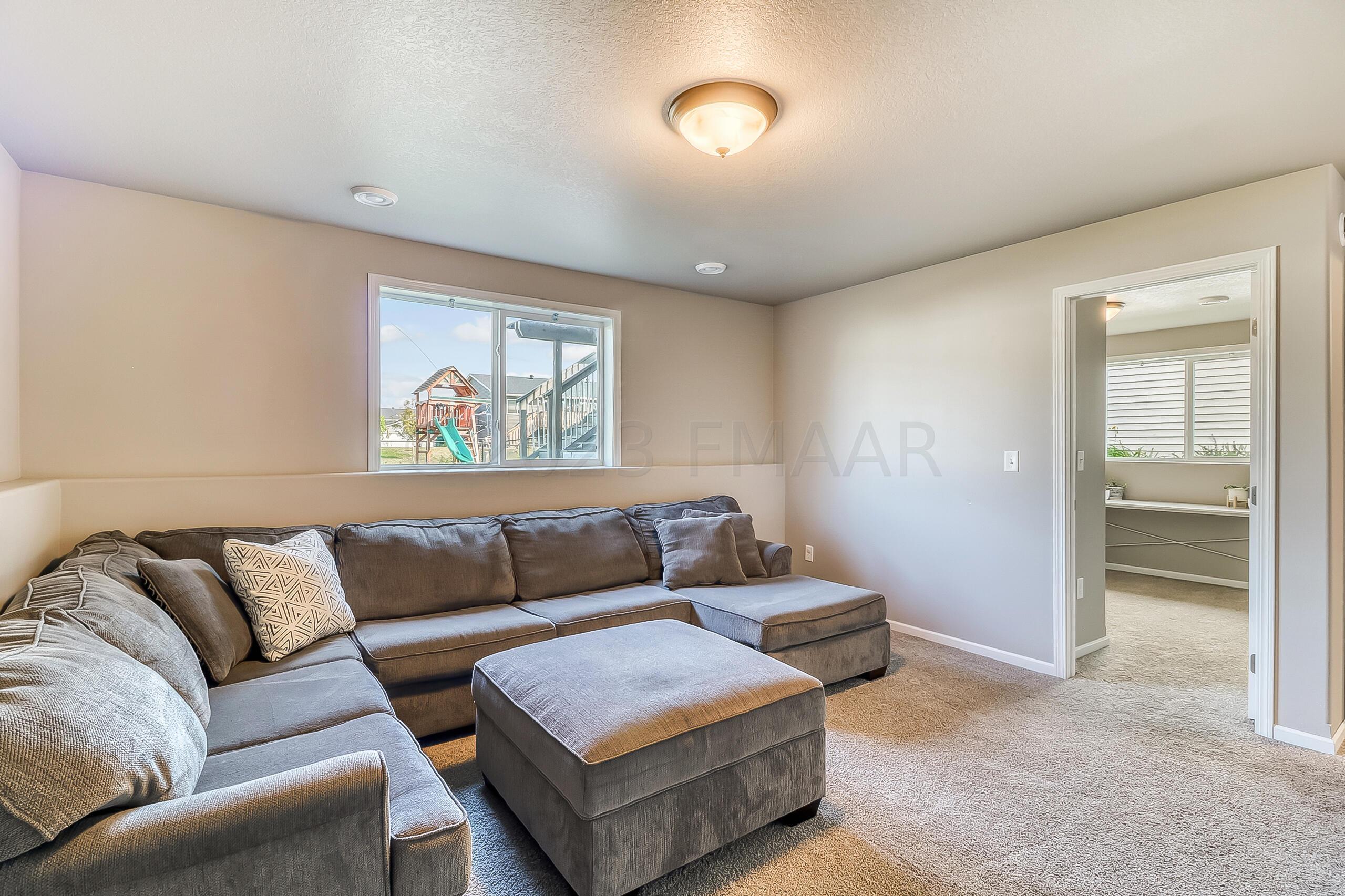 Basement Family Room