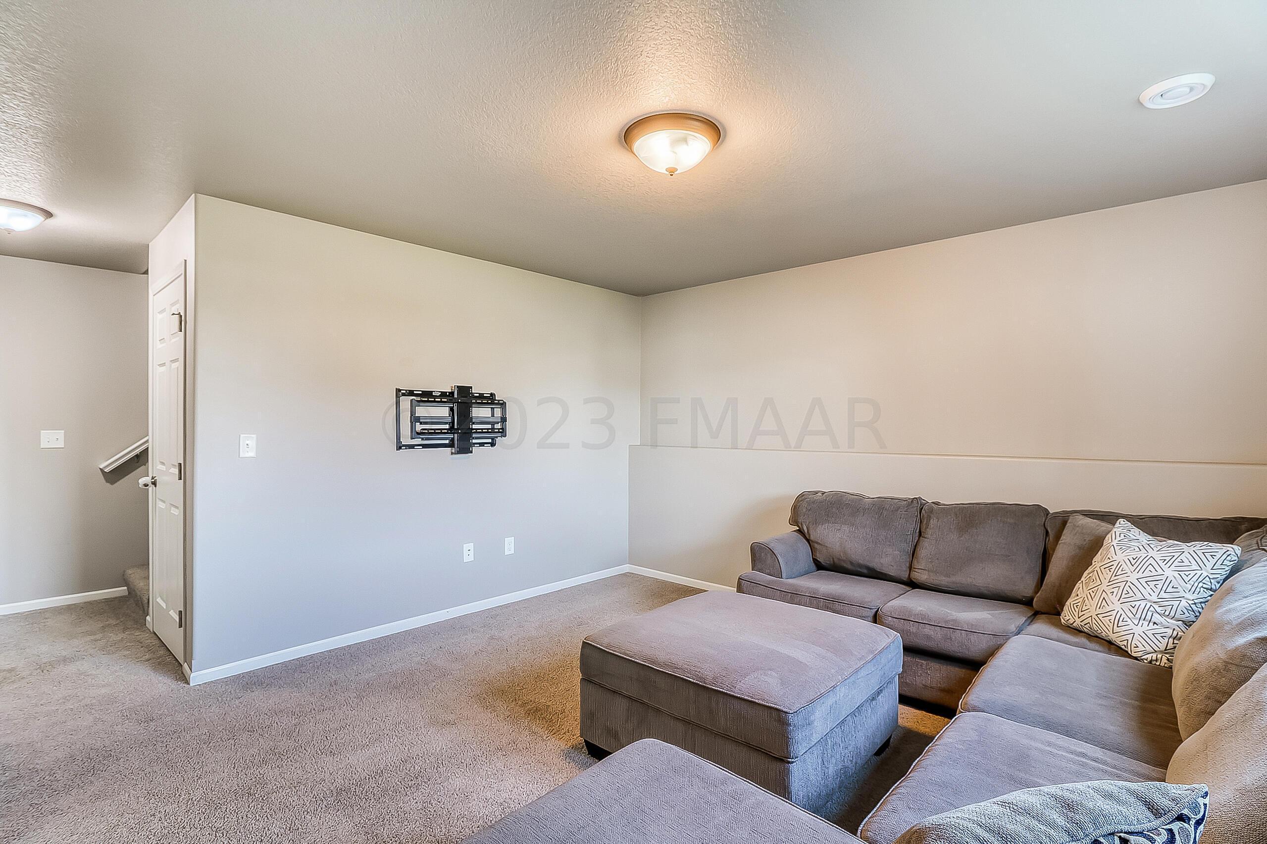 Basement Family Room