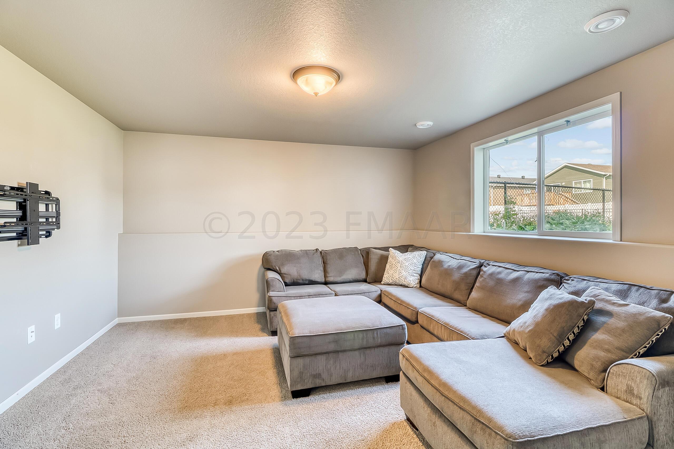Basement Family Room