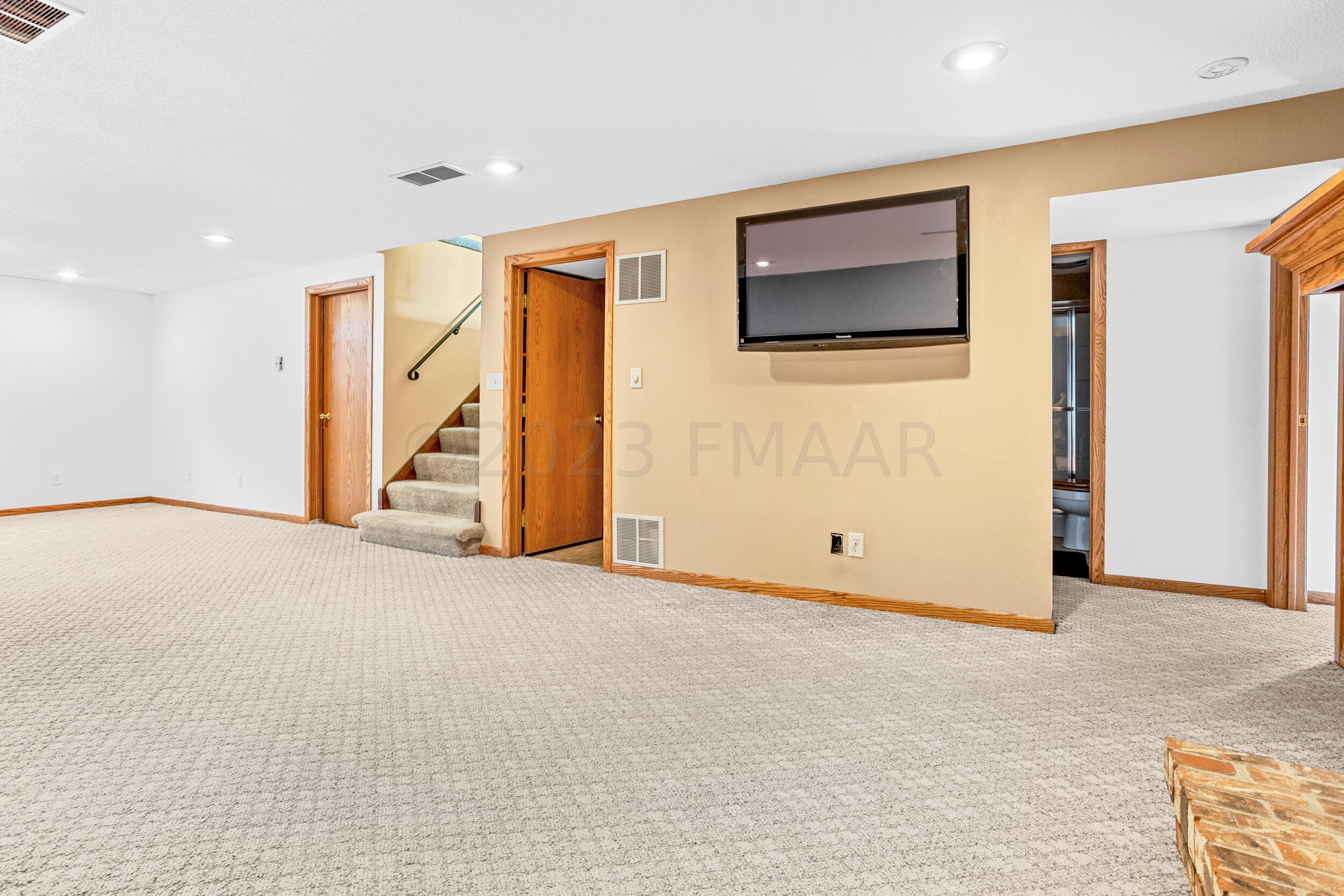 Basement Living Room