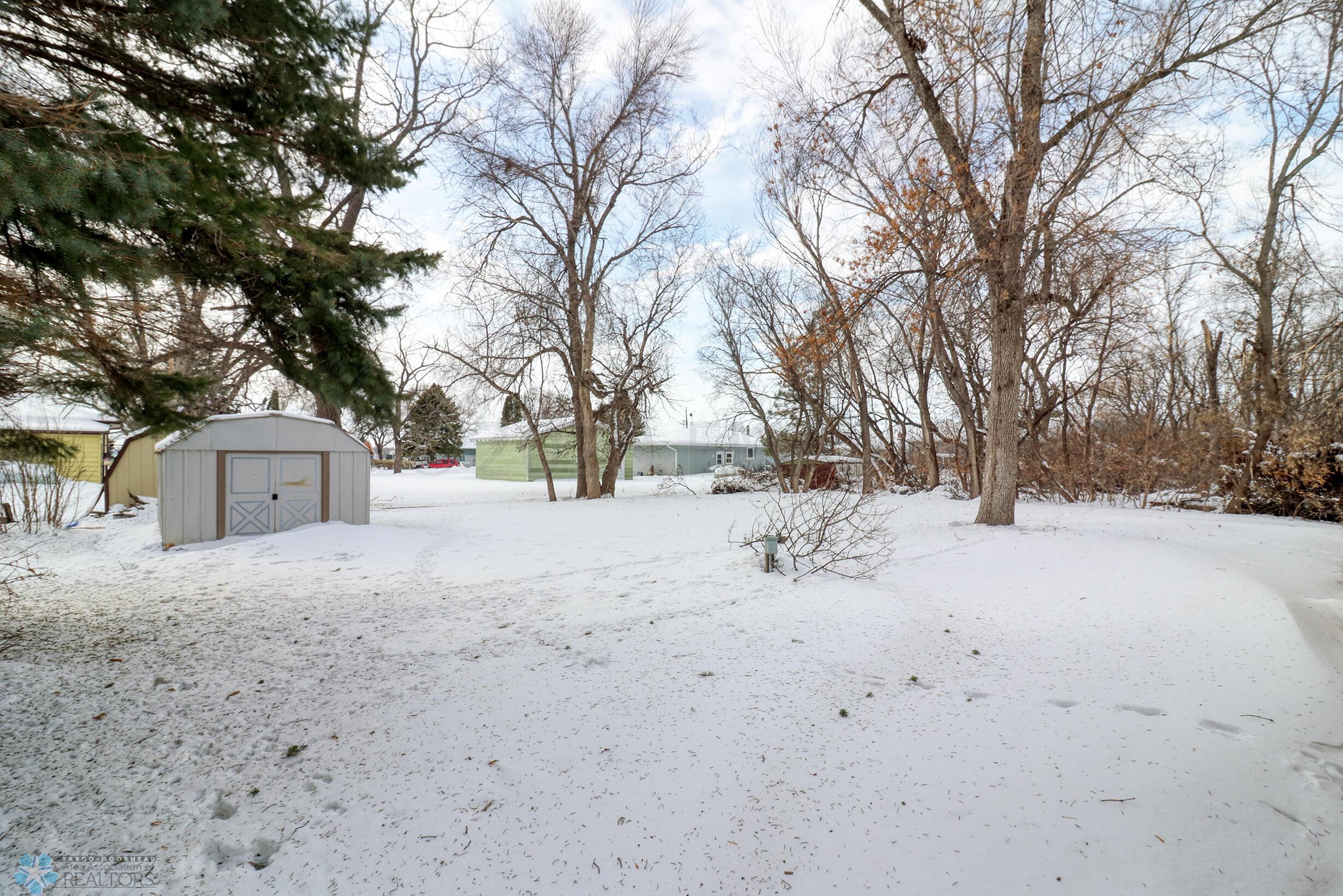 Backyard1_1
