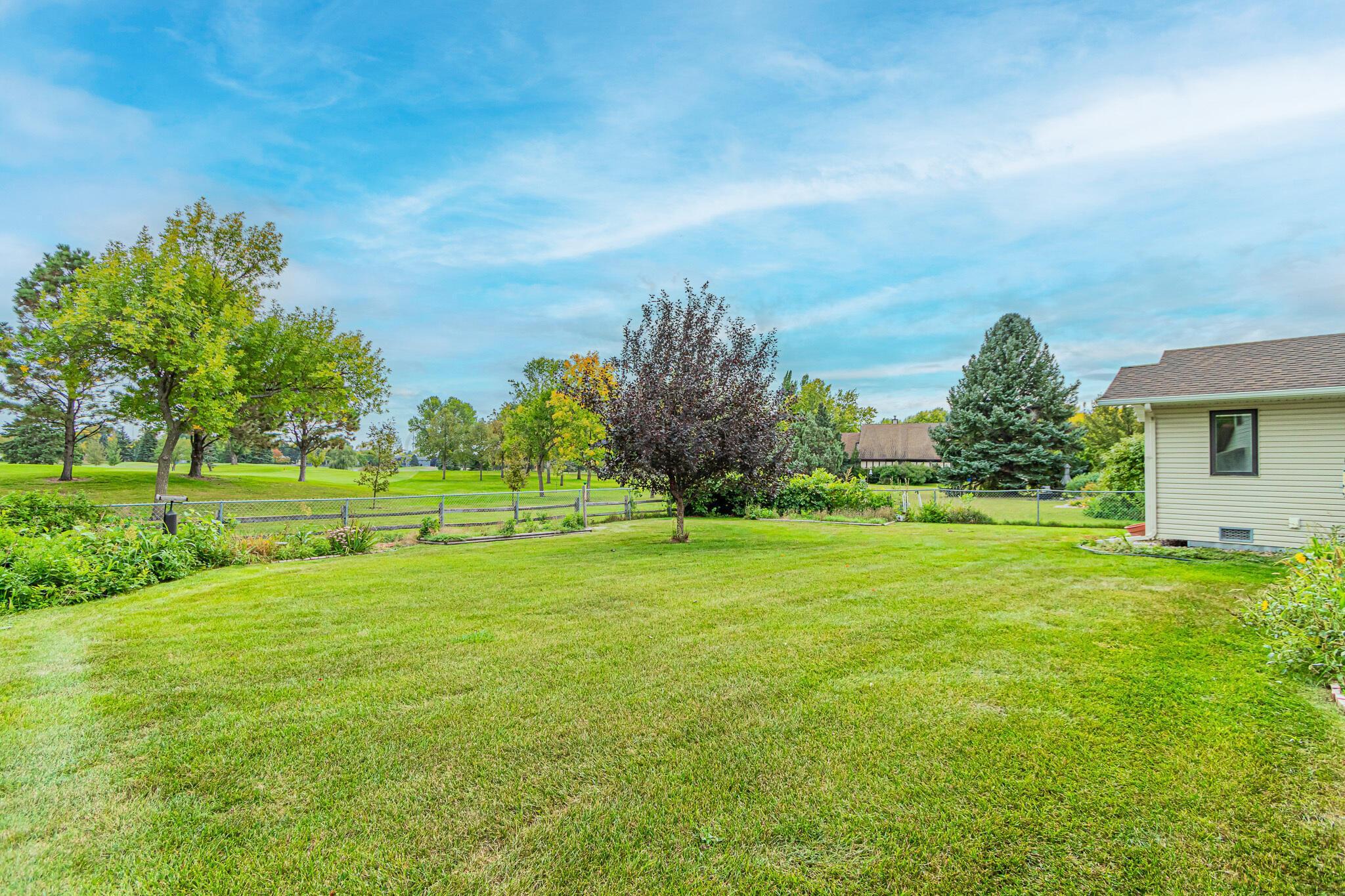 View from Back Yard