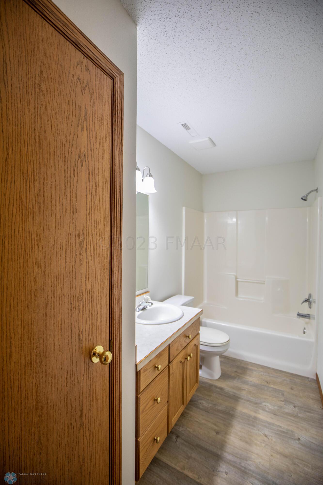 Full Lower Level Bathroom