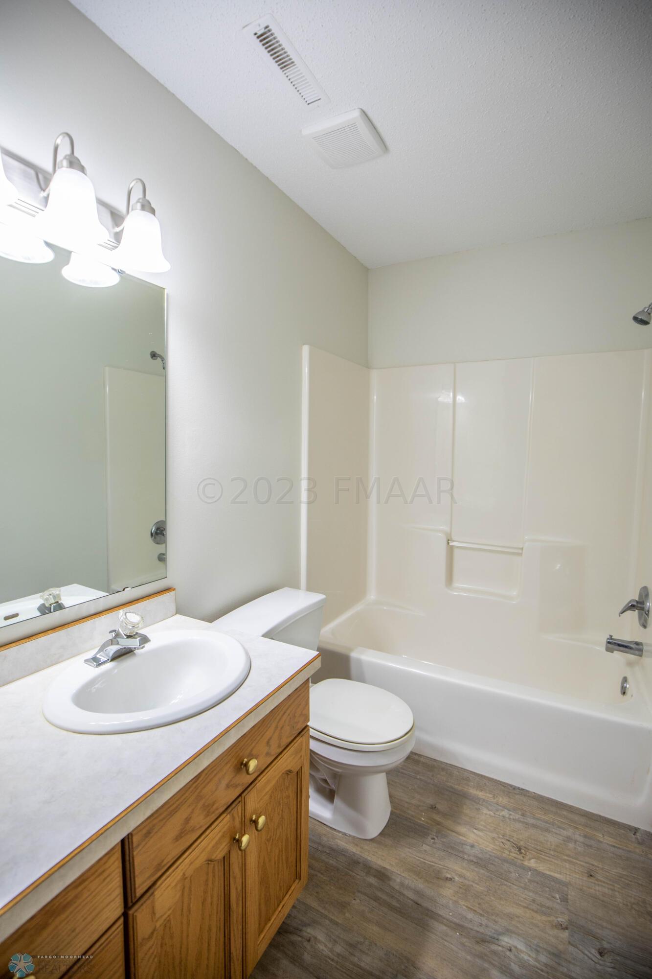 Full Lower Level Bathroom