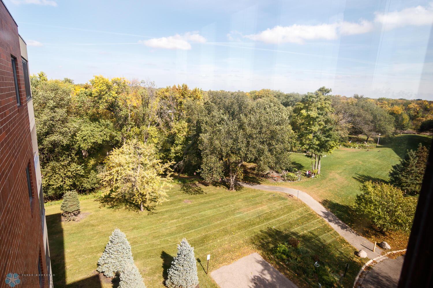 View from Sunroom
