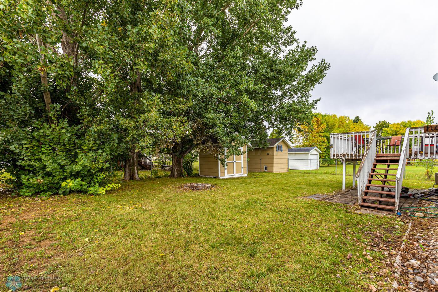 Back yard