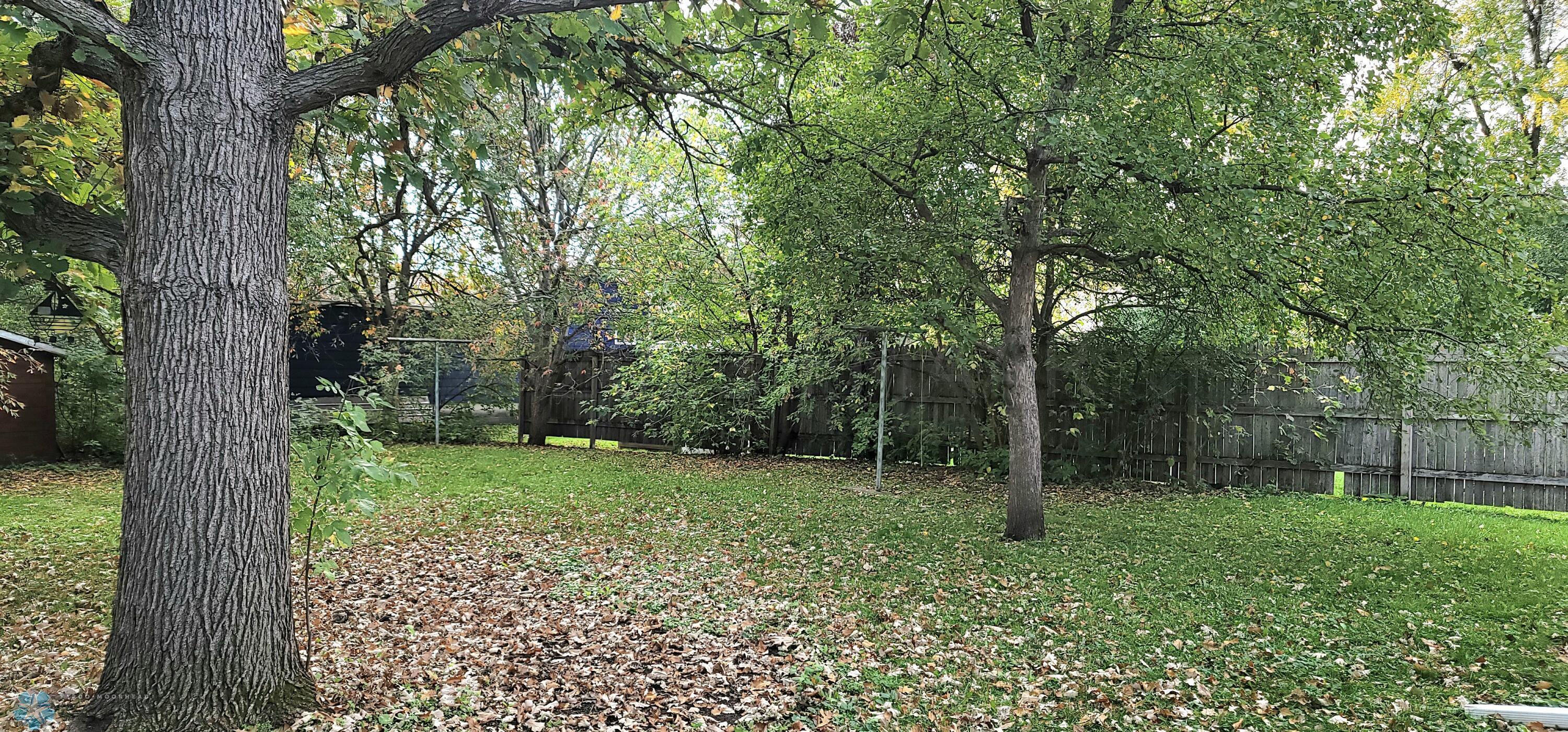 Big private backyard