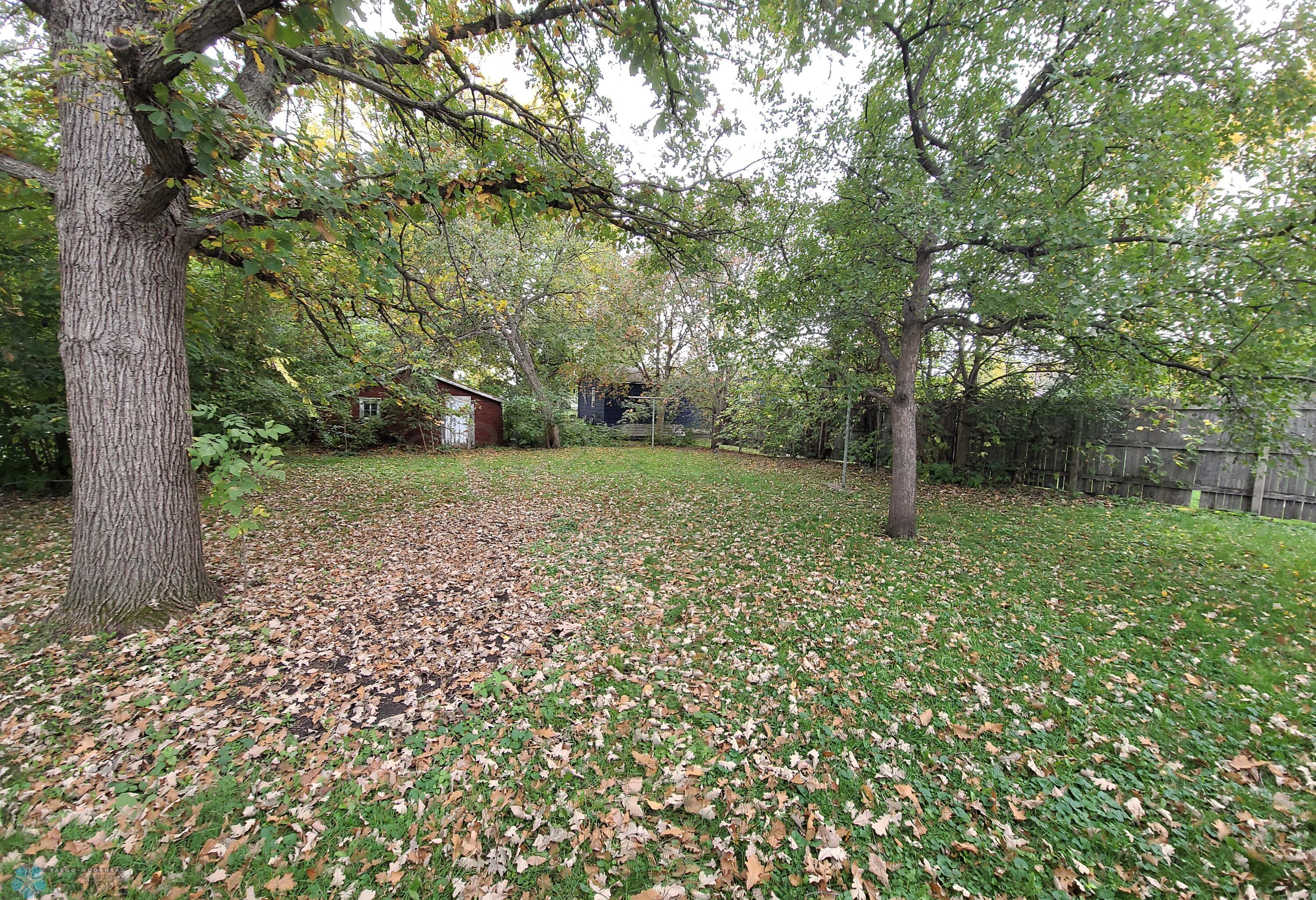 Huge backyard