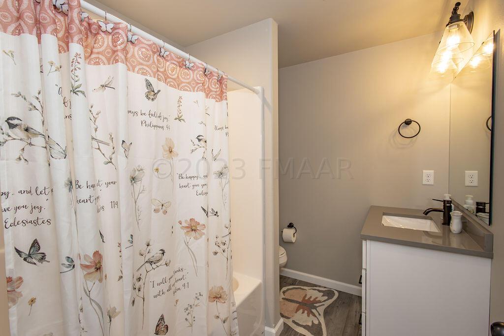 Basement Bathroom