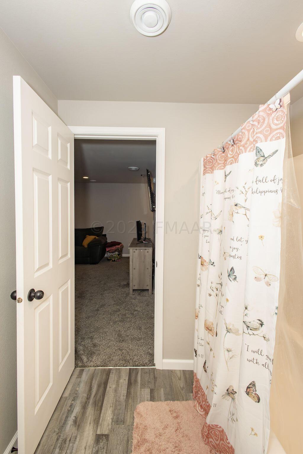 Basement Bathroom