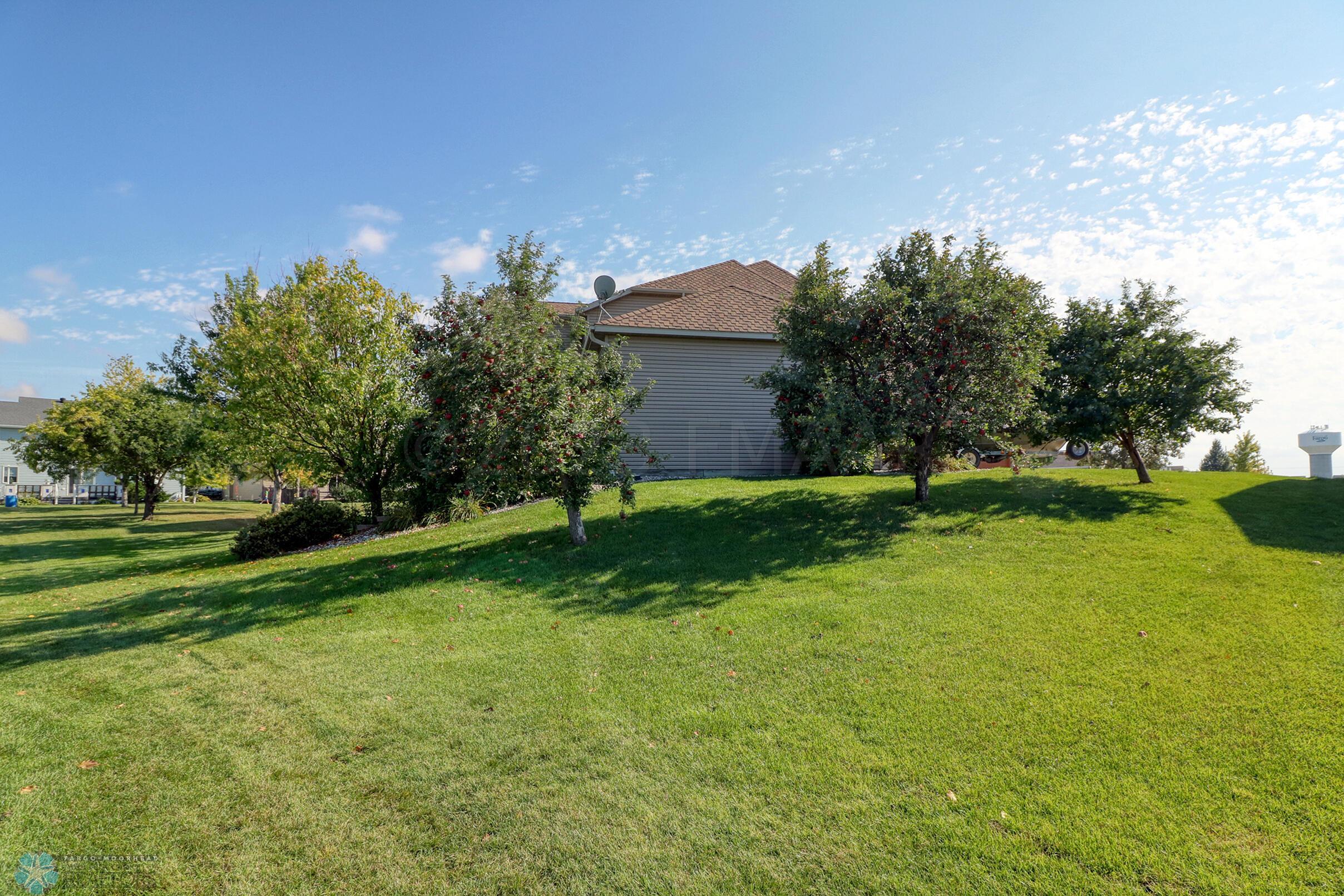 Backyard1_1