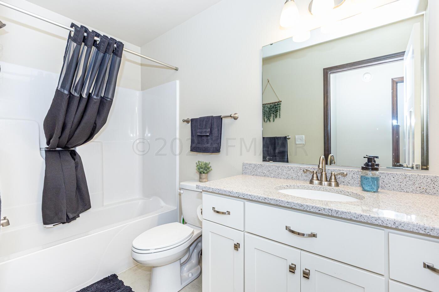 Lower Level Bathroom