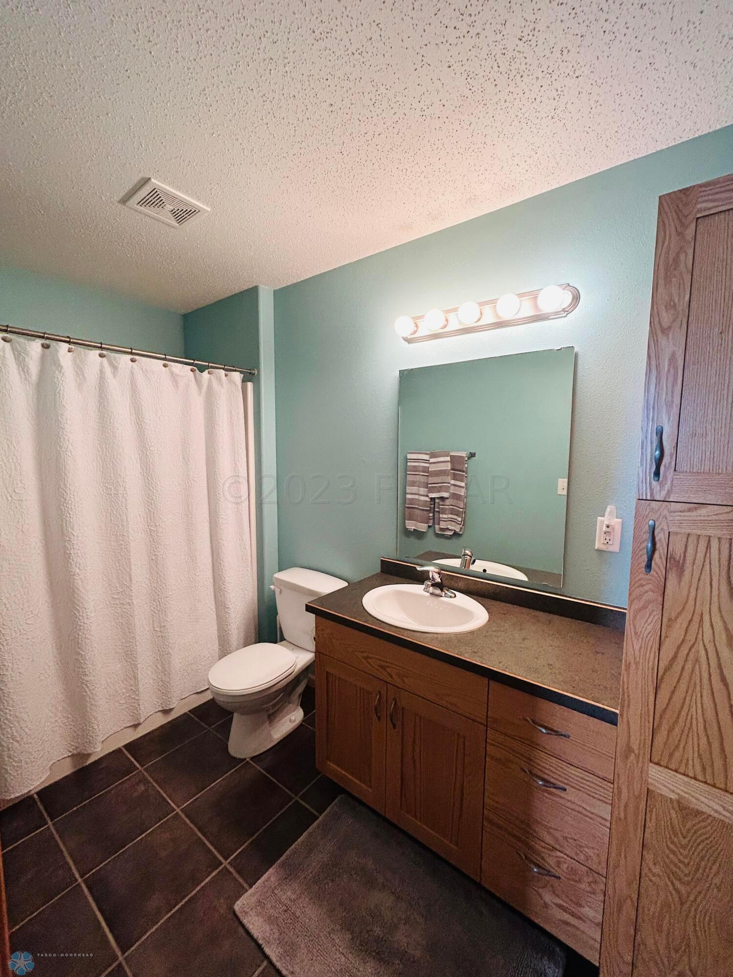 Lower level bathroom