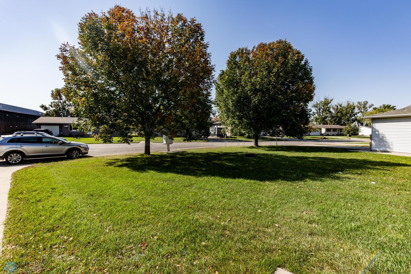 Front Yard