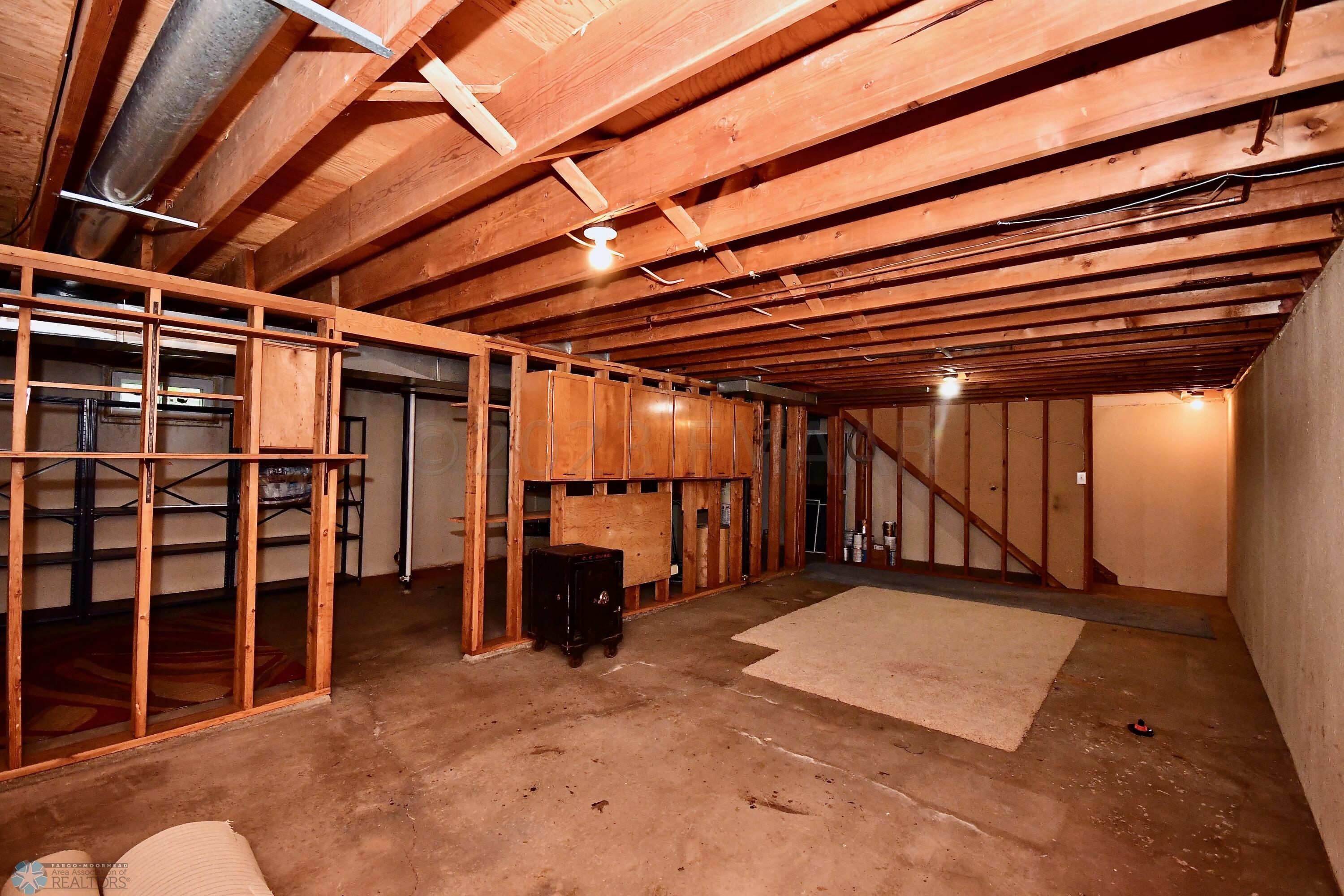 Unfinished Basement