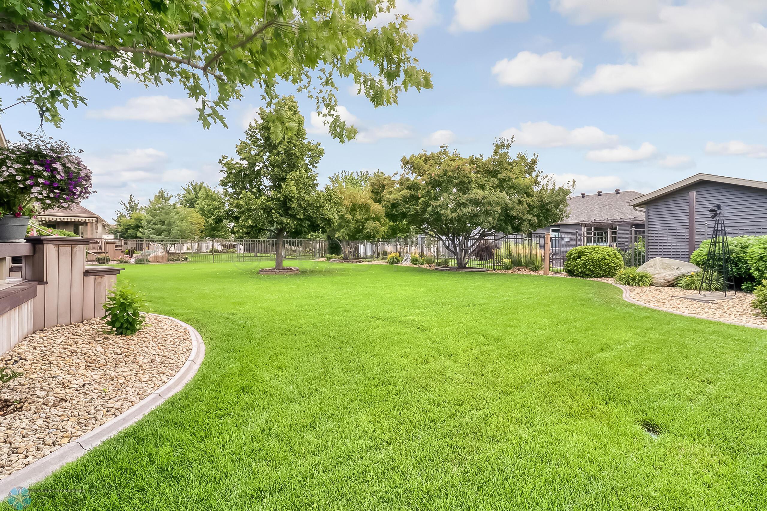 Backyard1_3