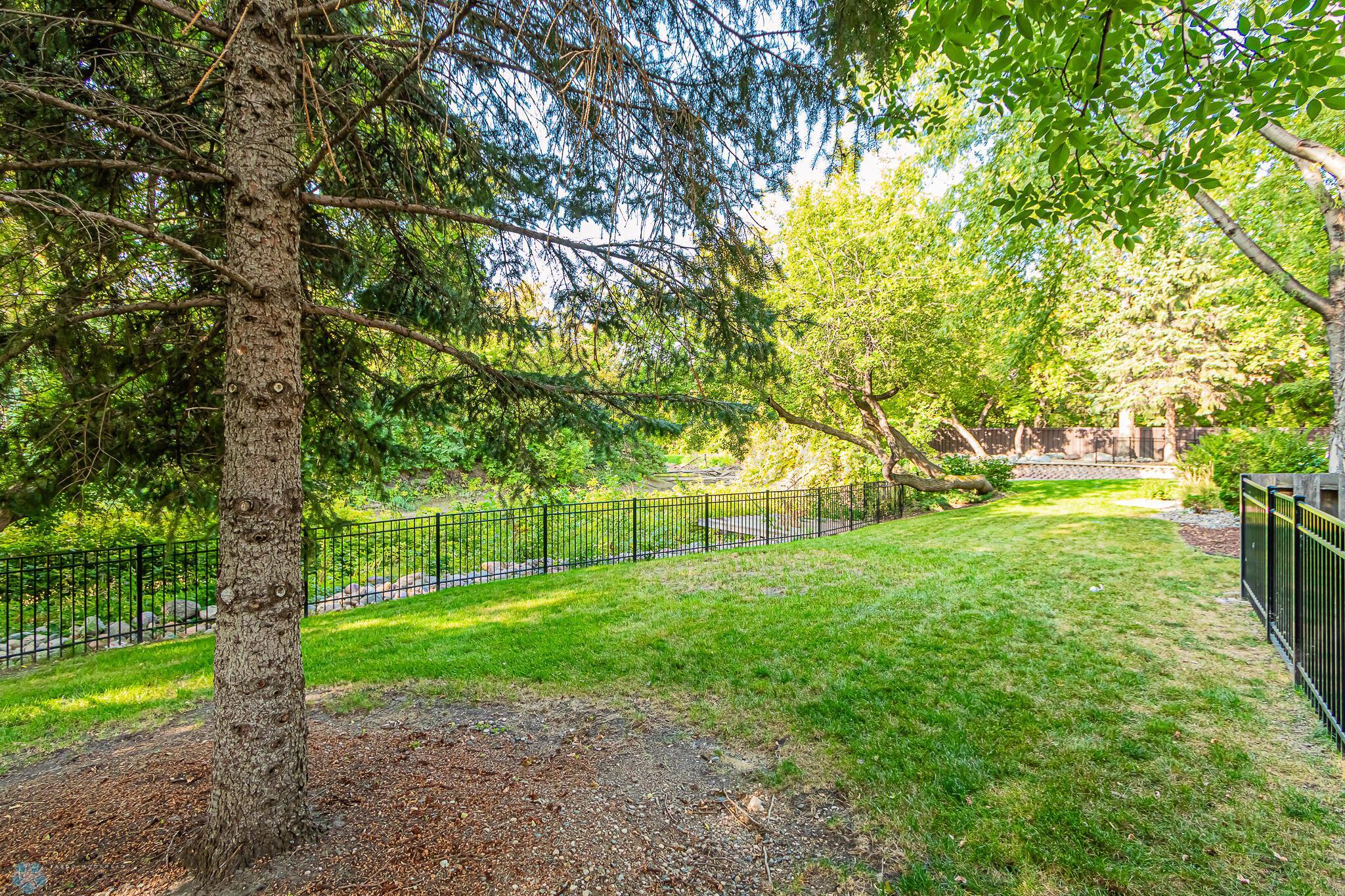 Backyard_1