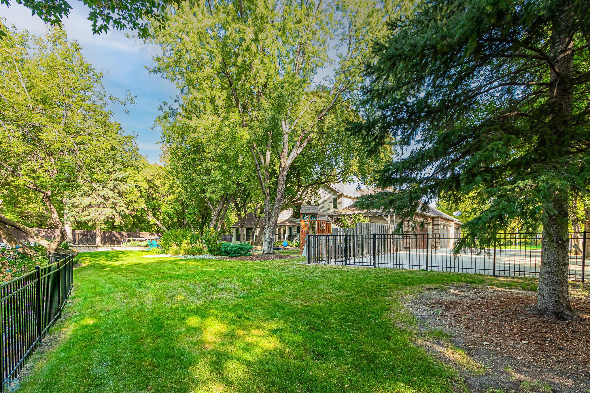 Backyard_2
